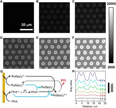 Confined Electrochemiluminescence Generation at Ultra-High-Density Gold Microwell Electrodes